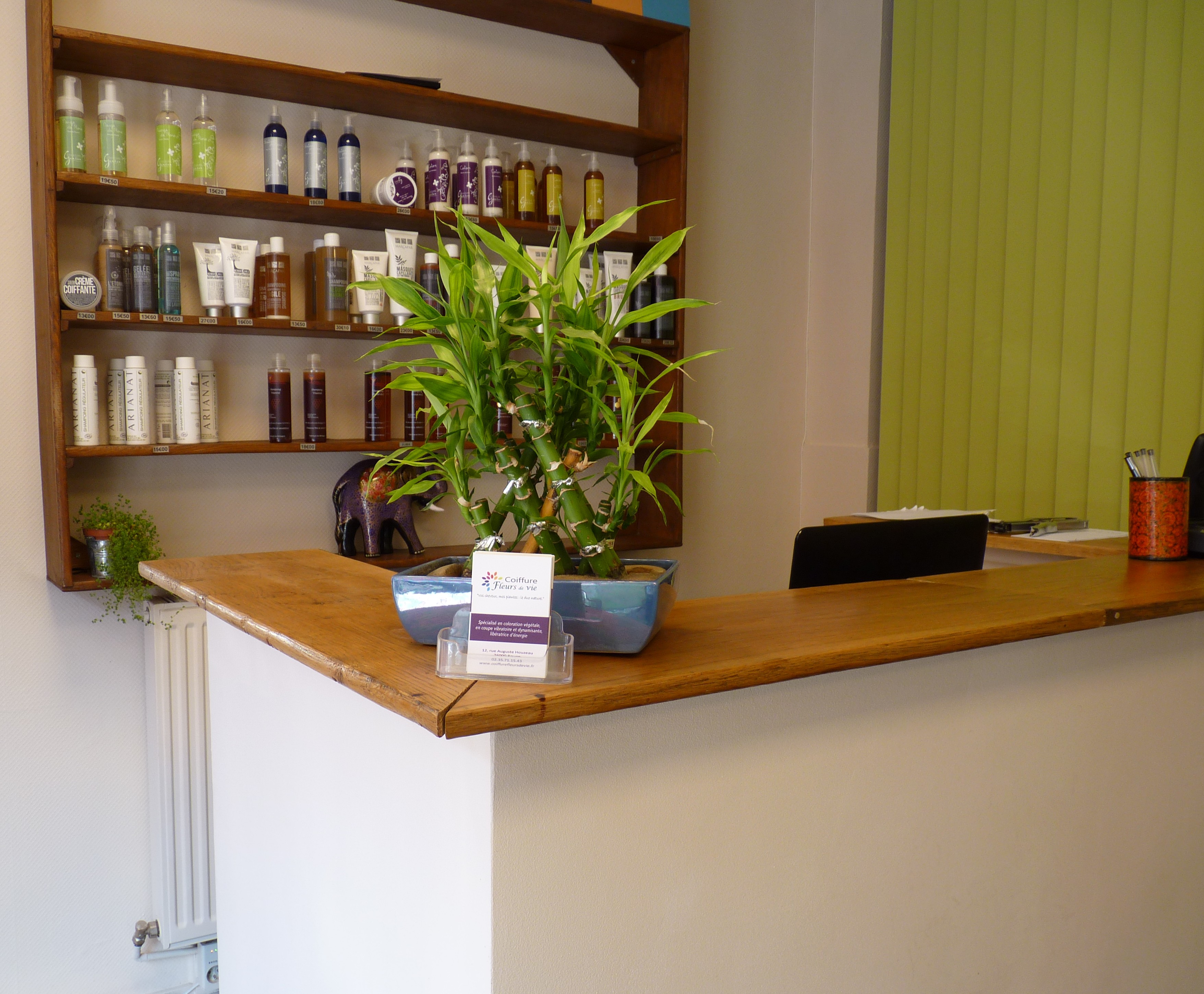 coiffeur-bio-fleurs-de-vie-rouen.jpg